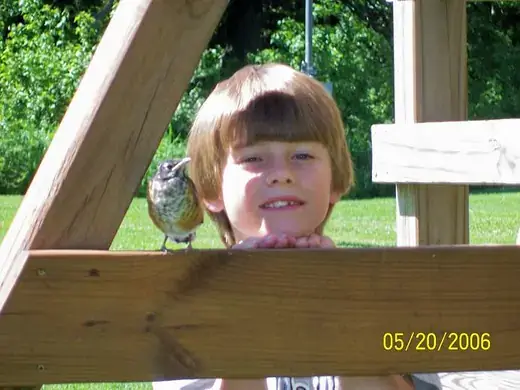 Late childhood photograph 73 of 147